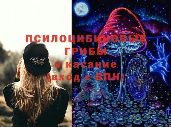 бошки Арсеньев