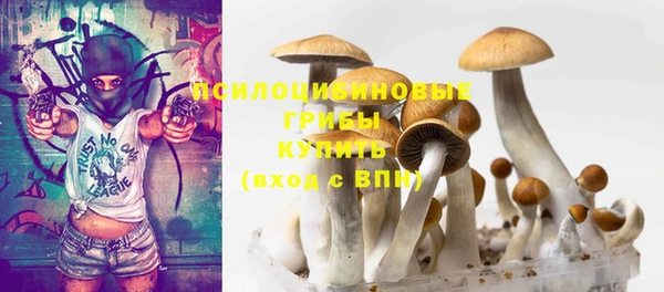 бошки Арсеньев