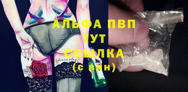 дмт Аркадак