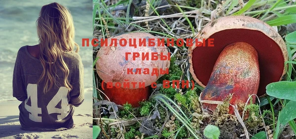 дмт Аркадак